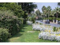 Kavşak ve refüjler artık daha yeşil