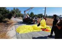 Havada paniği yaşayan Alman uyruklu kadınlar: “Biraz korktuk ama iyiyiz”