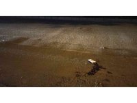 Kahramanmaraş’ta trafik kazası: 2’si çocuk 4 yaralı