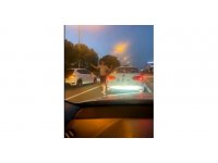 Trafikteki aileye dehşeti yaşattı