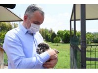 Başkan Esen: “Sokak hayvanlarının kısırlaştırma işlemini planlı bir şekilde sürdürüyoruz”