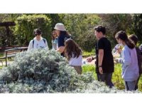 Çocuklara çevre ve tarım eğitimleri