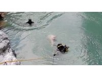 Alara Çayı’na uçan kamyondaki kayıp işçi, beşinci gün 3 kilometre uzakta bulundu