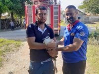 Yuvadan düşen yavru leyleğin yardımına itfaiye koştu