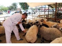 Yüreğir’de kurban satış ve kesim yerleri belirlendi