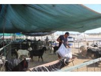 Toroslar’da kurban satış ve kesim alanları hazırlandı