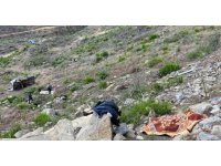 Yolda inek ölüsü ihbarı üzerine gelen ekipler erkek cesediyle karşılaştı