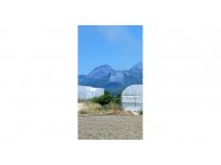 Serik’teki orman yangını kontrol altına alındı