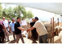 Alanya’da kapalı hayvan pazarı ve kurban satış yeri hizmete girdi