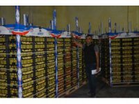 Rusya ve Ukrayna’ya kayısı ihracatı