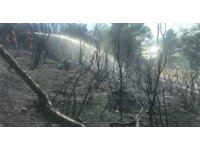 Serik’te çıkan orman yangını büyümeden söndürüldü