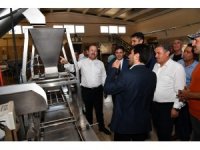 Vali Pehlivan, kuş üzümü temizleme ve paketleme tesisinde incelemelerde bulundu