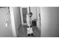 Adana’da 7 ayrı hırsızlık olayına karışan 2 zanlı tutuklandı