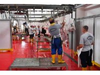 Mersin Büyükşehir Belediyesi 30 noktada kesim hizmeti verdi