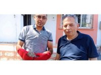 Yaralı kukumav kuşu yavrusu tedavi edilecek