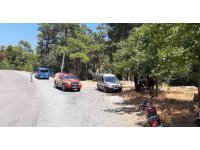 Keçiboynuzu hırsızlarını vatandaşlar yakaladı