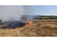 Isparta’da anız yakanlara cezai işlem uygulanacak