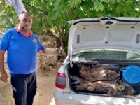 Otomobile sıkışan kertenkeleyi itfaiye kurtardı