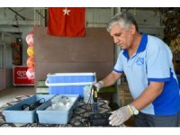 MESKİ, içme suyu analizlerine ara vermeden devam ediyor