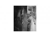 Köpeklerin organize ayakkabı hırsızlığı kamerada