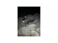 Kayıp çoban ölü bulundu