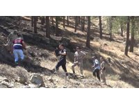Hatay’daki orman yangınıyla ilgili 1 şüpheli gözaltına alındı