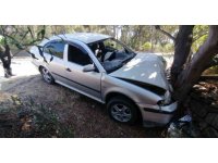 Virajı alamayan otomobil ağaca çarptı: 1 yaralı