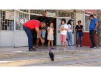 Okul bahçesinde sıcaktan bayılan karga, kendine gelince öğrenci kayıt sırasına girdi