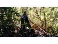 Alanya’da 1.5 dönüm ormanlık alan kül oldu