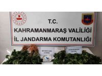 Kenevir ve sentetik uyuşturucu operasyonunda 1 gözaltı