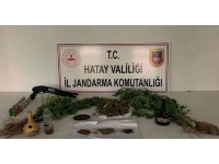 Evinde kubar esrar yetiştiren şüpheli gözaltına alındı