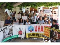 Hayvanseverler 400 köpeğin akıbetini sordu