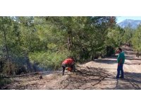 Adana’daki orman yangını