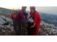 Kayalıklarda mahsur kalan 2 keçi, kurtarıldı