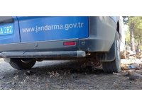 Orman yangınında yürek burkan görüntüler