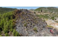 Tarladan makilik alana sıçrayan yangın ormana ulaşmadan söndürüldü