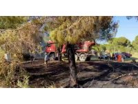 Turizm bölgesindeki yangın golf sahasına sıçradı