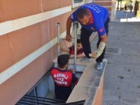 Havlandırma boşluğuna düşen yavru kediyi itfaiye kurtardı