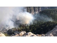 Mersin’de orman yangınına müdahale sürüyor