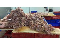 Ağızlarında sigara, üstleri çıplak tavuk kestiler, bir de oynadılar