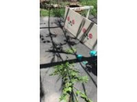 Mezitli’deki okuma evine çirkin saldırı