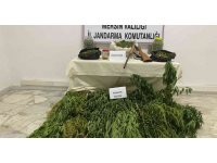 Çadıra uyuşturucu operasyonu