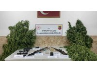 Yasadışı kenevir ekimi yapan şahıslar yakalandı
