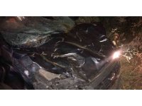 Hayvanlarını yolun karşısına geçirirken canından oldu