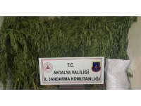 Serada kenevir üretimi yapan 2 şüpheli tutuklandı