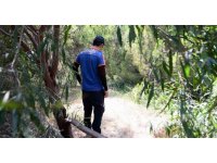 Kayıp kadının cesedi bulundu