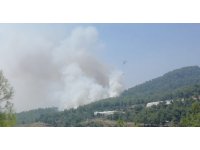 Mersin’de orman yangınına 2 uçak ve 5 helikopterle müdahale ediliyor