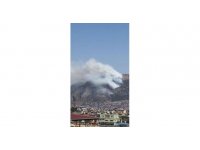 Hatay’daki orman yangını kontrol altına alındı