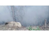 Burdur’da orman yangını