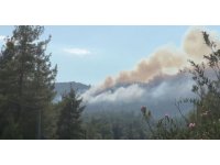 Burdur’da orman yangınına havadan ve karadan müdahale sürüyor